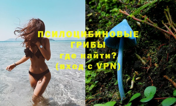 марки lsd Вяземский
