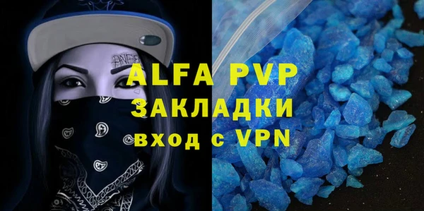 СК Вязьма
