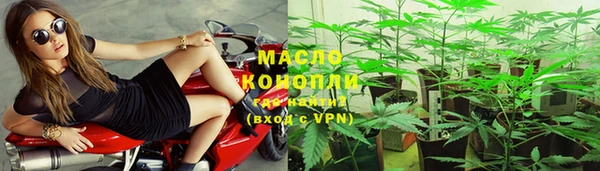 СК Вязьма