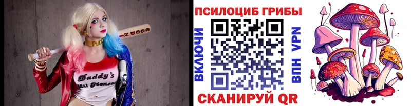 Псилоцибиновые грибы прущие грибы  Духовщина 